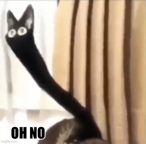 Oh no cat (Distorted) | OH NO | image tagged in oh no cat distorted | made w/ Imgflip meme maker
