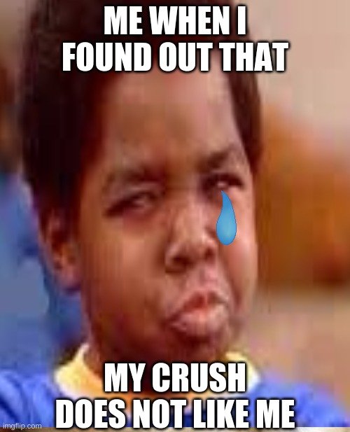 me and my crush :) | ME WHEN I FOUND OUT THAT; MY CRUSH DOES NOT LIKE ME | image tagged in funny | made w/ Imgflip meme maker