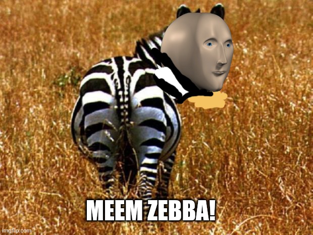 Meme man's zoo! |  MEEM ZEBBA! | image tagged in zebra,meme man,zoo,animals | made w/ Imgflip meme maker