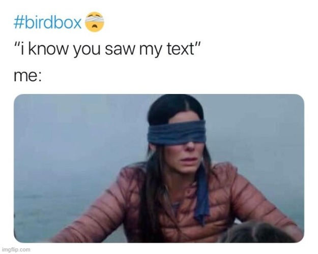image tagged in bird box,memes | made w/ Imgflip meme maker
