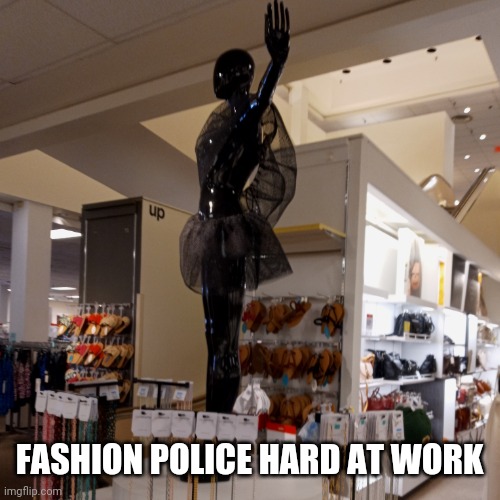 Fashion Police on Duty | FASHION POLICE HARD AT WORK | image tagged in fashion police,mall police,attention shoppers,department stores,funny,fashion memes | made w/ Imgflip meme maker