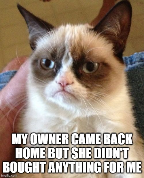 Grumpy Cat | MY OWNER CAME BACK HOME BUT SHE DIDN'T BOUGHT ANYTHING FOR ME | image tagged in memes,grumpy cat | made w/ Imgflip meme maker