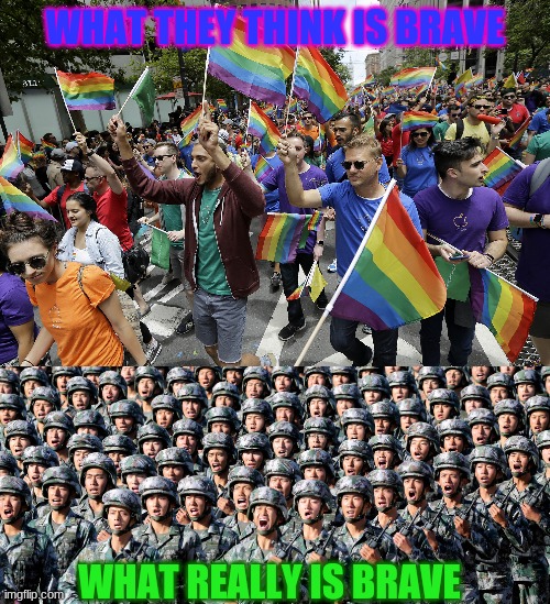 Fight me in the comments | WHAT THEY THINK IS BRAVE; WHAT REALLY IS BRAVE | image tagged in gay parade,truth,hehe,yes | made w/ Imgflip meme maker