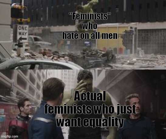 Regretful Hulk | ''Feminists'' who hate on all men; Actual feminists who just want equality | image tagged in regretful hulk | made w/ Imgflip meme maker