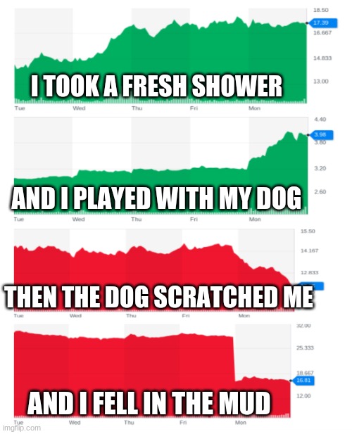 Example #2 | I TOOK A FRESH SHOWER; AND I PLAYED WITH MY DOG; THEN THE DOG SCRATCHED ME; AND I FELL IN THE MUD | image tagged in finance | made w/ Imgflip meme maker