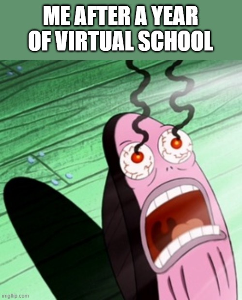 Burning eyes | ME AFTER A YEAR OF VIRTUAL SCHOOL | image tagged in burning eyes | made w/ Imgflip meme maker