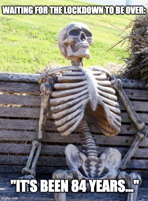 Waiting Skeleton | WAITING FOR THE LOCKDOWN TO BE OVER:; "IT'S BEEN 84 YEARS..." | image tagged in memes,waiting skeleton | made w/ Imgflip meme maker