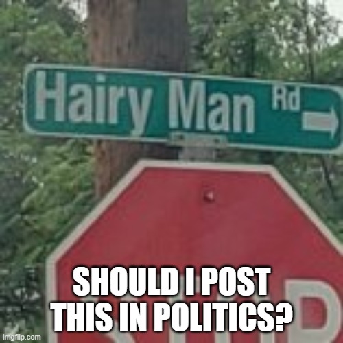 lol idk | SHOULD I POST THIS IN POLITICS? | made w/ Imgflip meme maker
