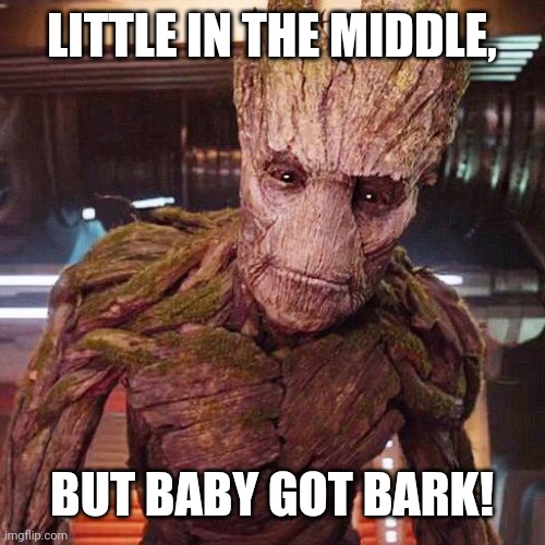 Groot Guardians of the Galaxy | LITTLE IN THE MIDDLE, BUT BABY GOT BARK! | image tagged in groot guardians of the galaxy | made w/ Imgflip meme maker