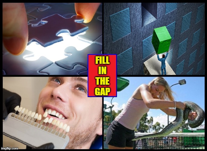 Troubles with your Wardrobe? Try The Gap. | FILL
IN
THE
GAP | image tagged in vince vance,missing link,memes,the gap,puzzle,snake | made w/ Imgflip meme maker