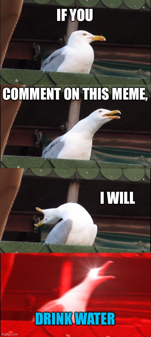 This is my Inhaling seagull meme. If you comment on it, I’ll drink water | IF YOU; COMMENT ON THIS MEME, I WILL; DRINK WATER | image tagged in memes,inhaling seagull | made w/ Imgflip meme maker