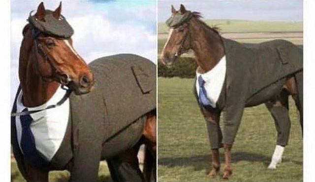 High Quality horse in a suit Blank Meme Template