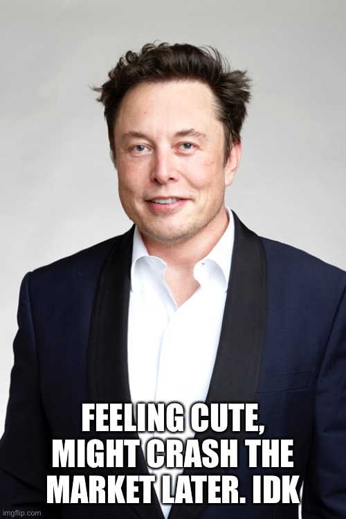 FEELING CUTE, MIGHT CRASH THE MARKET LATER. IDK | image tagged in SHIBArmy | made w/ Imgflip meme maker