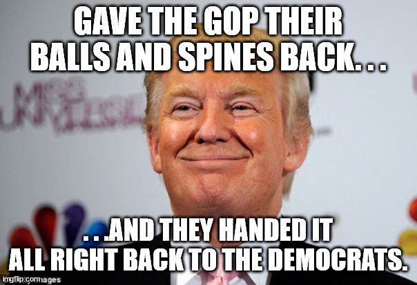 Donald trump approves | GAVE THE GOP THEIR BALLS AND SPINES BACK. . . . . .AND THEY HANDED IT ALL RIGHT BACK TO THE DEMOCRATS. | image tagged in donald trump approves | made w/ Imgflip meme maker