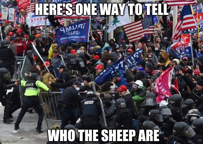 Capitol | HERE'S ONE WAY TO TELL WHO THE SHEEP ARE | image tagged in capitol | made w/ Imgflip meme maker