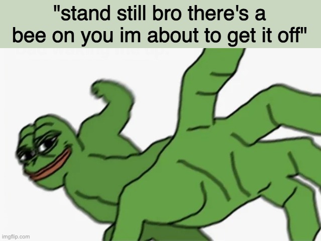 pepe punch | "stand still bro there's a bee on you im about to get it off" | image tagged in pepe punch | made w/ Imgflip meme maker