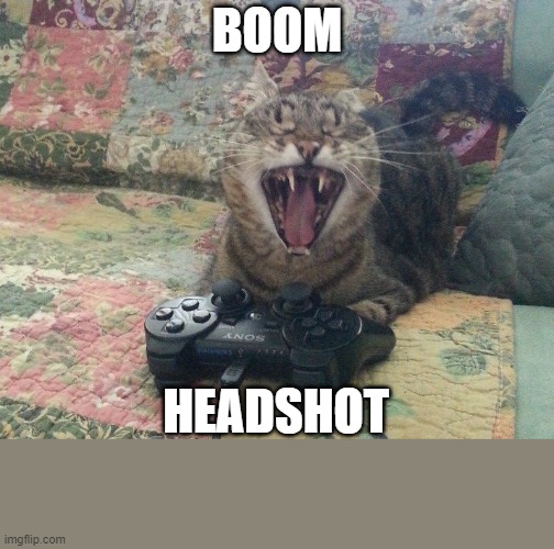 Game Cat Boom Headshot | BOOM; HEADSHOT | image tagged in cat,gamer,boom,headshot | made w/ Imgflip meme maker