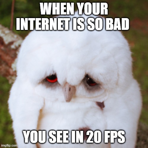 Bad Internet | WHEN YOUR INTERNET IS SO BAD; YOU SEE IN 20 FPS | image tagged in sad owl | made w/ Imgflip meme maker