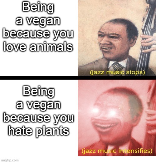 Jazz music stops and Intensifies | Being a vegan because you love animals; Being a vegan because you hate plants | image tagged in jazz music stops and intensifies | made w/ Imgflip meme maker