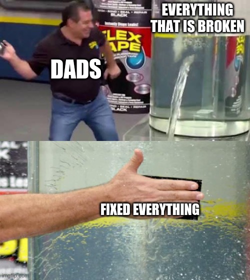 Flex Tape | EVERYTHING THAT IS BROKEN; DADS; FIXED EVERYTHING | image tagged in flex tape | made w/ Imgflip meme maker