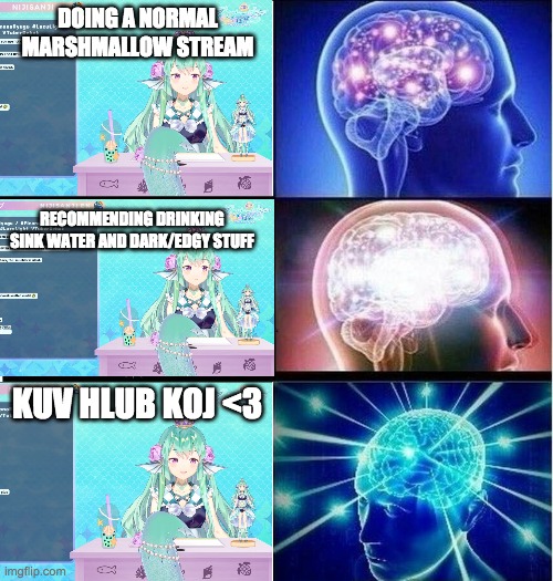 Kuv Hlub Koj | DOING A NORMAL MARSHMALLOW STREAM; RECOMMENDING DRINKING SINK WATER AND DARK/EDGY STUFF; KUV HLUB KOJ <3 | image tagged in expanding brain 3 panels | made w/ Imgflip meme maker