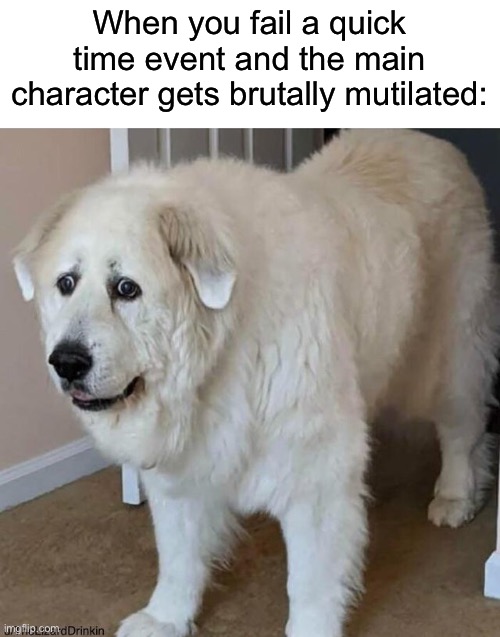 scared dog |  When you fail a quick time event and the main character gets brutally mutilated: | image tagged in scared dog | made w/ Imgflip meme maker
