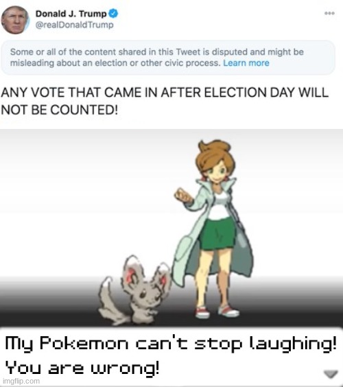 My Pokemon can't stop laughing! You are wrong! | image tagged in my pokemon can't stop laughing you are wrong,trump,trump bad,trump twitter | made w/ Imgflip meme maker