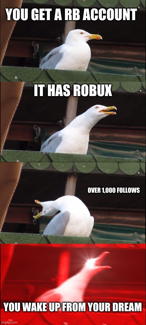 Oof | YOU GET A RB ACCOUNT; IT HAS ROBUX; OVER 1,000 FOLLOWS; YOU WAKE UP FROM YOUR DREAM | image tagged in memes,inhaling seagull | made w/ Imgflip meme maker