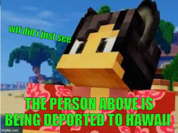 *laughs* | THE PERSON ABOVE IS BEING DEPORTED TO HAWAII | made w/ Imgflip meme maker