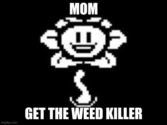 That's a wonderful idea! | MOM; GET THE WEED KILLER | image tagged in that's a wonderful idea | made w/ Imgflip meme maker
