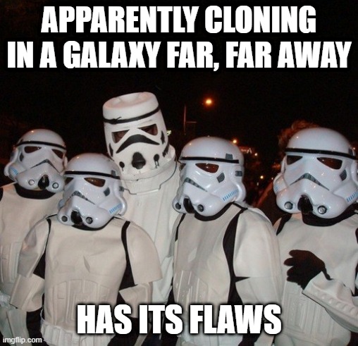 The Down Syndrome Trooper | APPARENTLY CLONING IN A GALAXY FAR, FAR AWAY; HAS ITS FLAWS | image tagged in star wars,stormtrooper | made w/ Imgflip meme maker