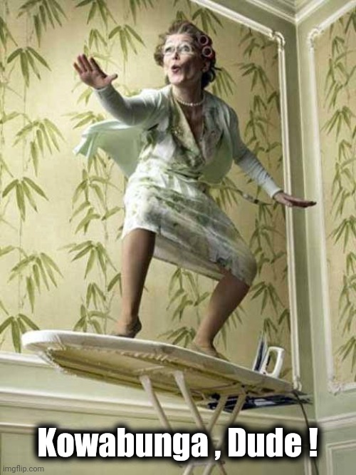 Surfing ironing board lady | Kowabunga , Dude ! | image tagged in surfing ironing board lady | made w/ Imgflip meme maker