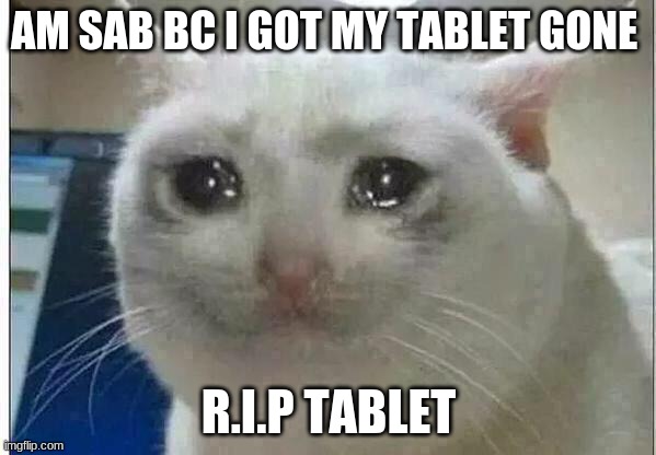 crying cat | AM SAB BC I GOT MY TABLET GONE; R.I.P TABLET | image tagged in crying cat | made w/ Imgflip meme maker