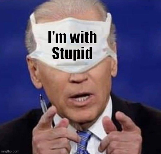 CREEPY UNCLE JOE BIDEN | I'm with    
Stupid | image tagged in creepy uncle joe biden | made w/ Imgflip meme maker