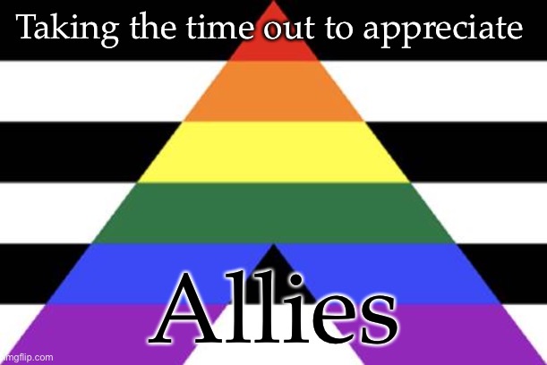 You all are awesome and want youto know it :D | Taking the time out to appreciate; Allies | image tagged in demisexual_sponge | made w/ Imgflip meme maker