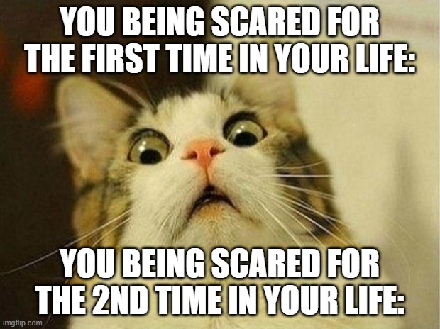 The "Scared E. Cat": | YOU BEING SCARED FOR THE FIRST TIME IN YOUR LIFE:; YOU BEING SCARED FOR THE 2ND TIME IN YOUR LIFE: | image tagged in memes,scared cat | made w/ Imgflip meme maker