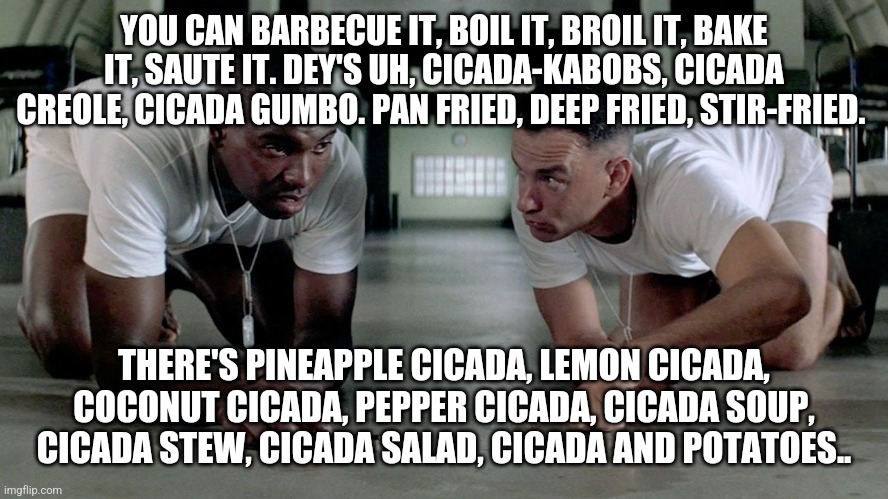 Cicada gump | YOU CAN BARBECUE IT, BOIL IT, BROIL IT, BAKE IT, SAUTE IT. DEY'S UH, CICADA-KABOBS, CICADA CREOLE, CICADA GUMBO. PAN FRIED, DEEP FRIED, STIR-FRIED. THERE'S PINEAPPLE CICADA, LEMON CICADA, COCONUT CICADA, PEPPER CICADA, CICADA SOUP, CICADA STEW, CICADA SALAD, CICADA AND POTATOES.. | image tagged in funny | made w/ Imgflip meme maker