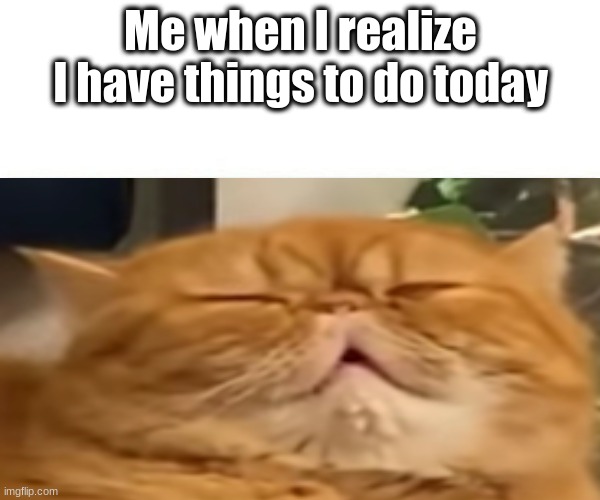 Me when I realize I have things to do today | image tagged in lol,funny,meme,meem,idk,oh wow are you actually reading these tags | made w/ Imgflip meme maker
