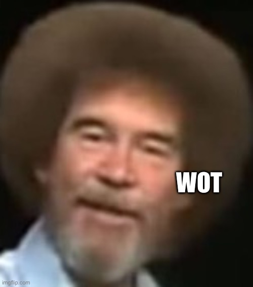 Bob ross wot | WOT | image tagged in bob ross wot face | made w/ Imgflip meme maker