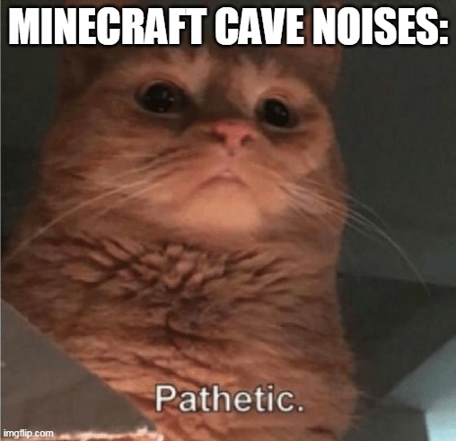 Pathetic Cat | MINECRAFT CAVE NOISES: | image tagged in pathetic cat | made w/ Imgflip meme maker