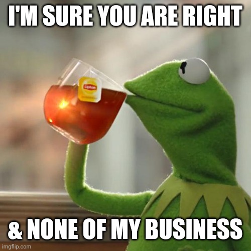 But That's None Of My Business Meme | I'M SURE YOU ARE RIGHT & NONE OF MY BUSINESS | image tagged in memes,but that's none of my business,kermit the frog | made w/ Imgflip meme maker
