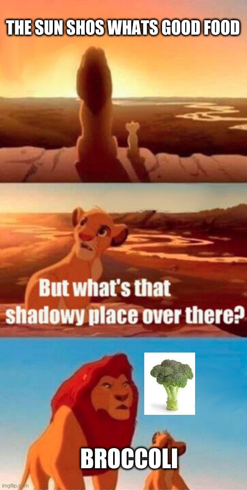 all kies hate broccoli | THE SUN SHOS WHATS GOOD FOOD; BROCCOLI | image tagged in memes,simba shadowy place | made w/ Imgflip meme maker