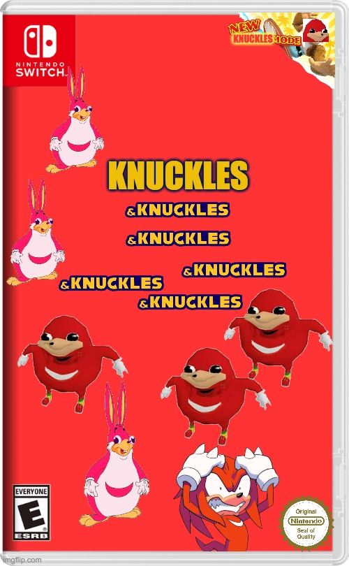 a title & knuckles | KNUCKLES; KNUCKLES | image tagged in nintendo switch,knuckles,ugandan knuckles | made w/ Imgflip meme maker