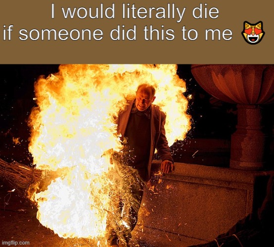 Guy on fire. | I would literally die if someone did this to me ? | image tagged in guy on fire | made w/ Imgflip meme maker