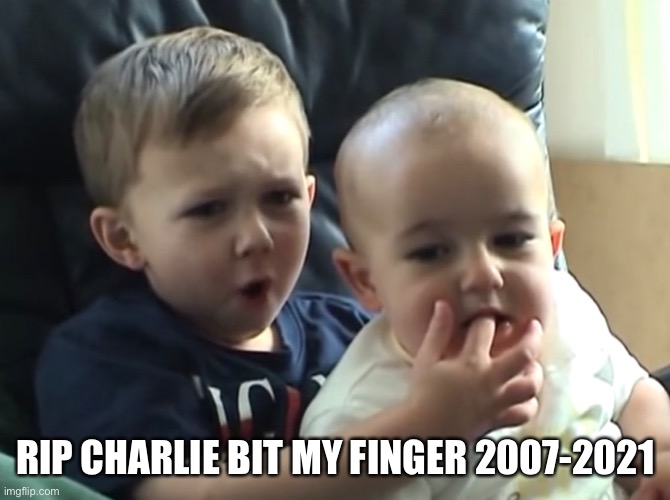 A legend has died | RIP CHARLIE BIT MY FINGER 2007-2021 | image tagged in memes,fun,charlie bit my finger,rip | made w/ Imgflip meme maker