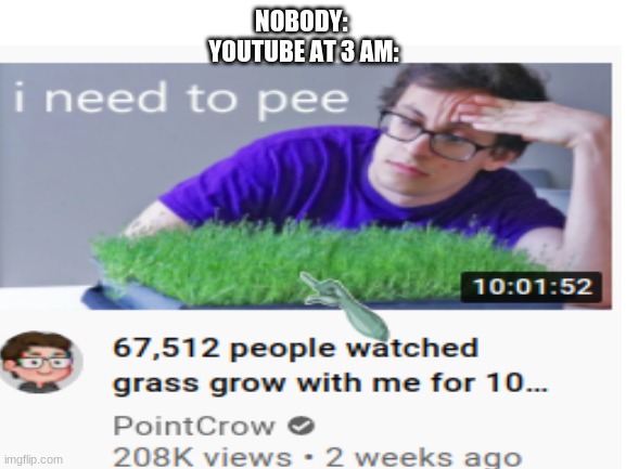 sorry about the mouse :/ |  NOBODY: 
YOUTUBE AT 3 AM: | image tagged in youtube,pointcrow | made w/ Imgflip meme maker