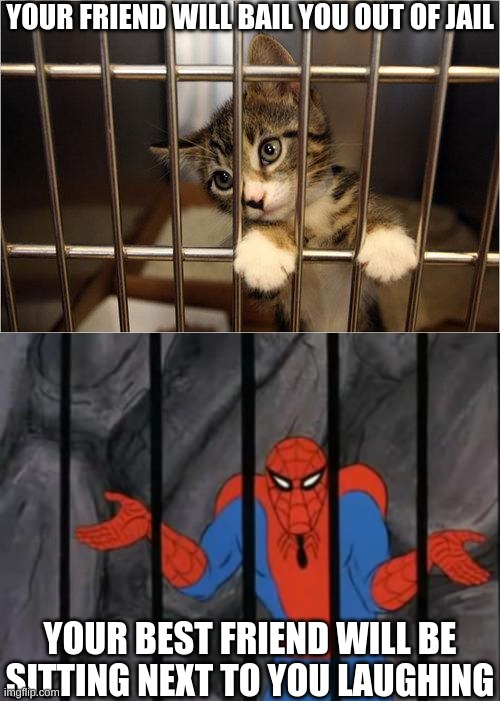 I owe my friend 10 bucks if this doesn't get to the front page |  YOUR FRIEND WILL BAIL YOU OUT OF JAIL; YOUR BEST FRIEND WILL BE SITTING NEXT TO YOU LAUGHING | image tagged in cat jail,spiderman jail | made w/ Imgflip meme maker