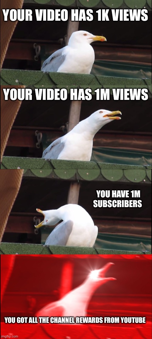 Inhaling Seagull | YOUR VIDEO HAS 1K VIEWS; YOUR VIDEO HAS 1M VIEWS; YOU HAVE 1M SUBSCRIBERS; YOU GOT ALL THE CHANNEL REWARDS FROM YOUTUBE | image tagged in memes,inhaling seagull | made w/ Imgflip meme maker