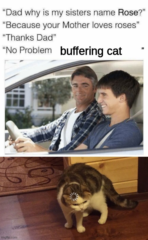 cat | buffering cat | image tagged in why is my sister's name rose | made w/ Imgflip meme maker