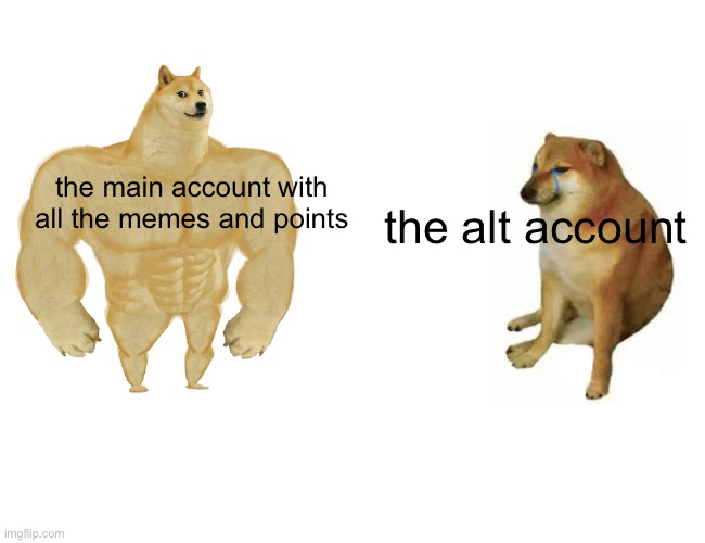 Buff Doge vs. Cheems Meme | the main account with all the memes and points the alt account | image tagged in memes,buff doge vs cheems | made w/ Imgflip meme maker